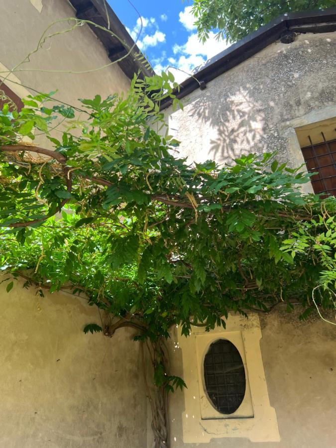 Bed and Breakfast Casa Barattini Zocchetta Exterior foto