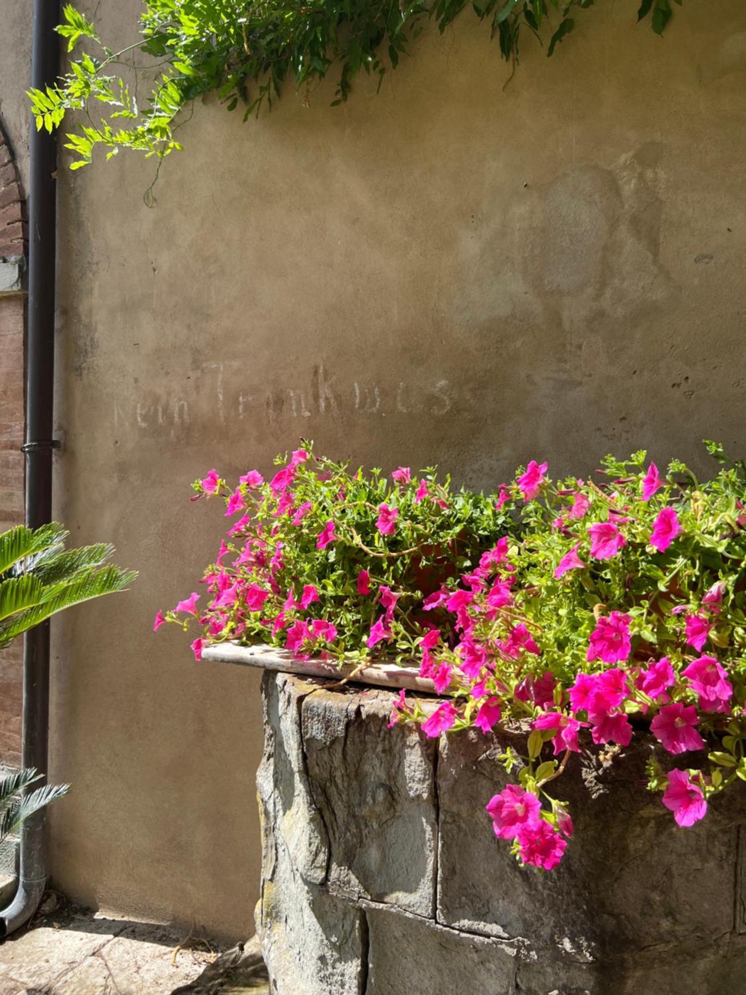 Bed and Breakfast Casa Barattini Zocchetta Exterior foto